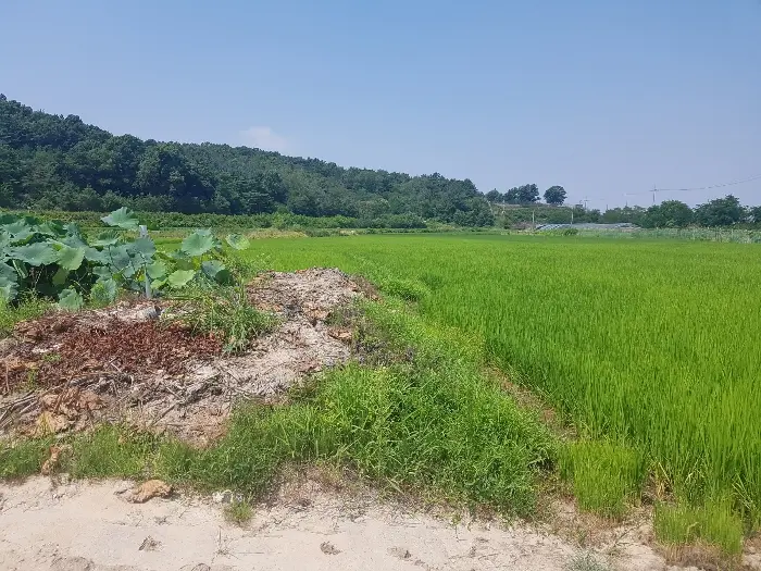 물건 사진 20