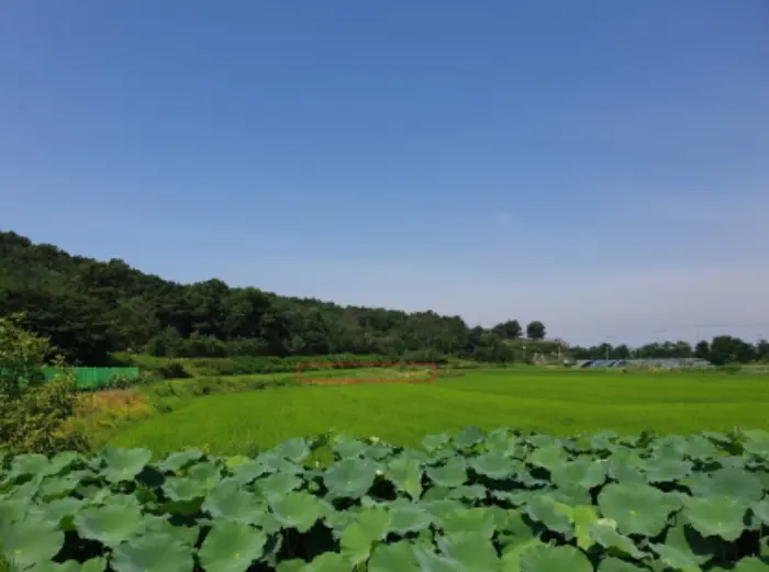 물건 사진 4