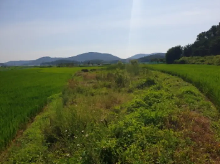물건 사진 5
