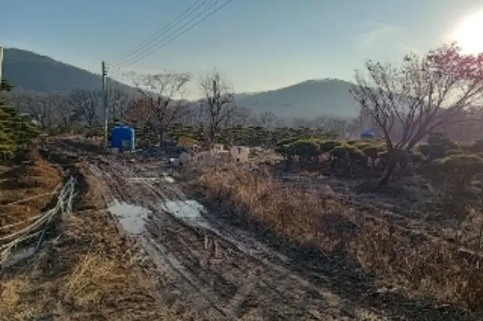 인천광역시 강화군 양도면