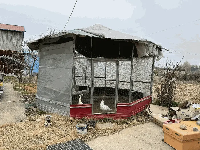 물건 사진 19