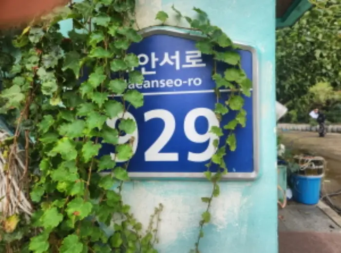 물건 사진 1