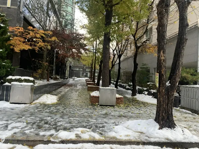물건 사진 15