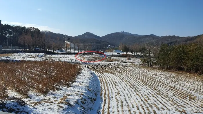 물건 사진 11