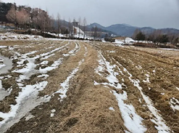 물건 사진 4