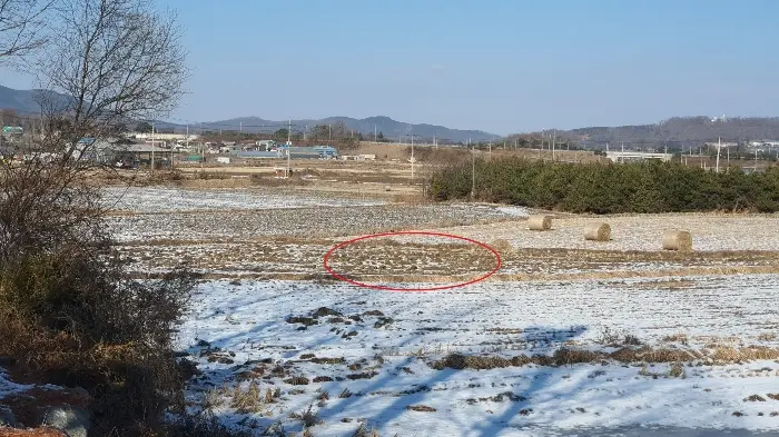 물건 사진 9