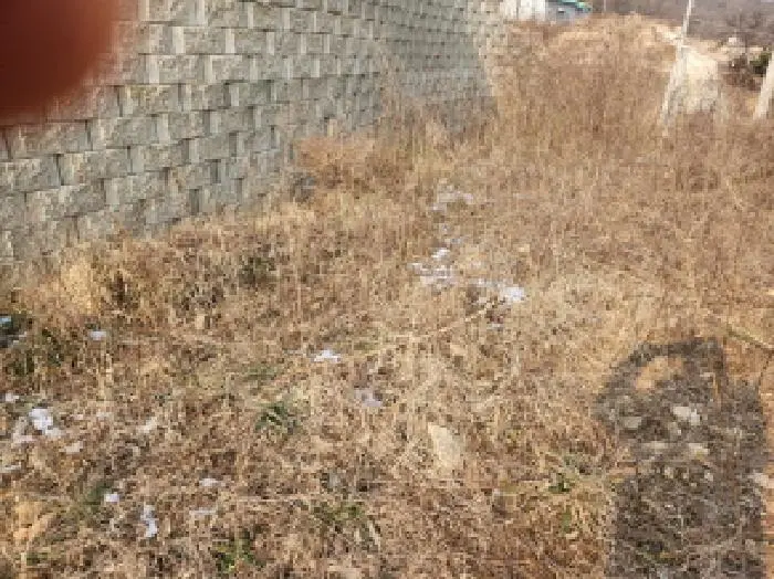 물건 사진 1