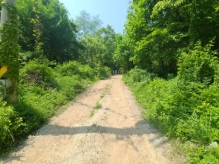 물건 사진 15