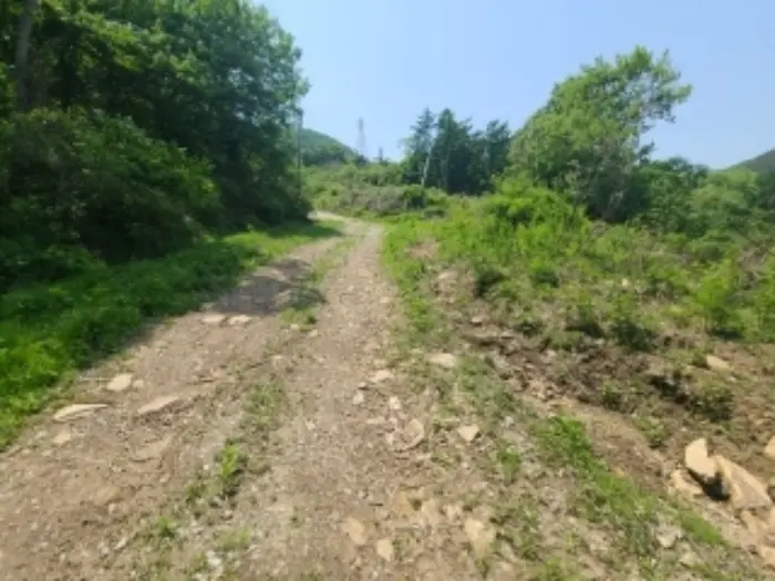 물건 사진 19