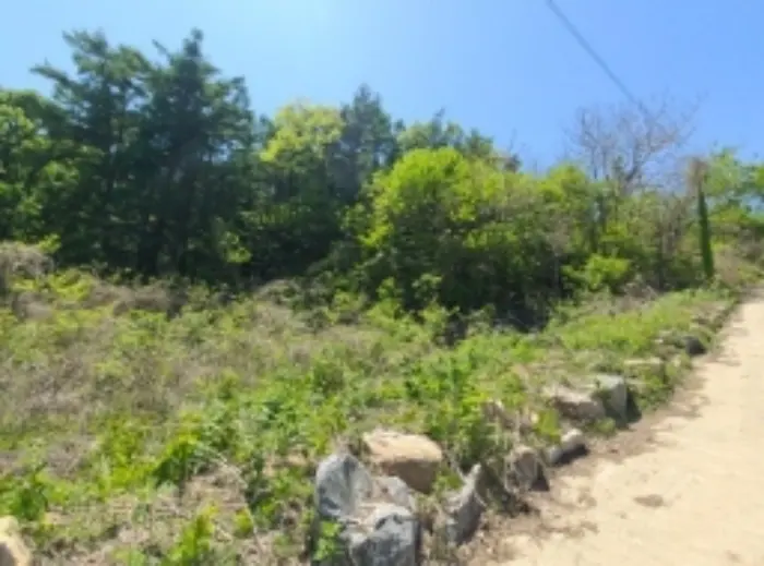물건 사진 6