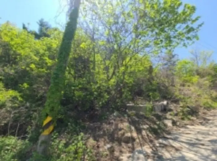 물건 사진 8