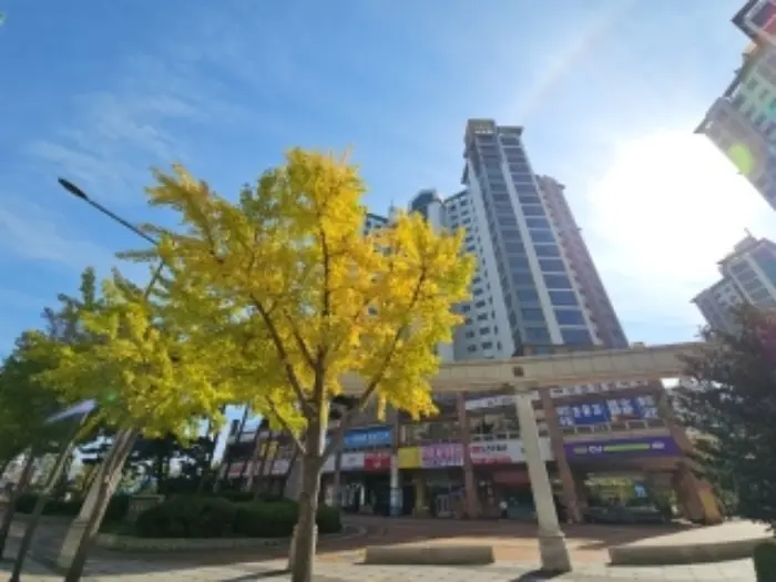 물건 사진 1