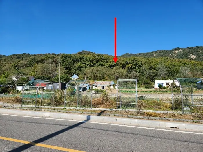 물건 사진 11