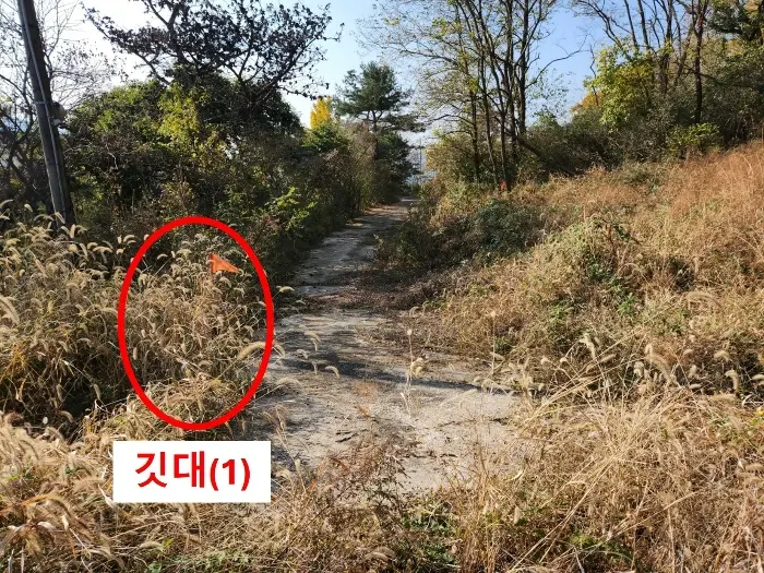 물건 사진 13