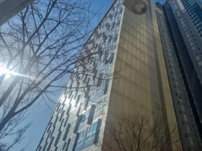 물건 사진 1