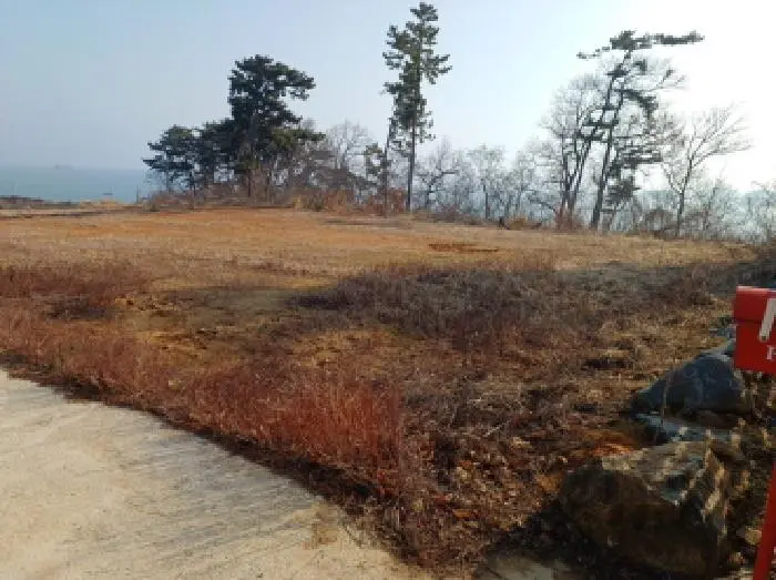 물건 사진 11