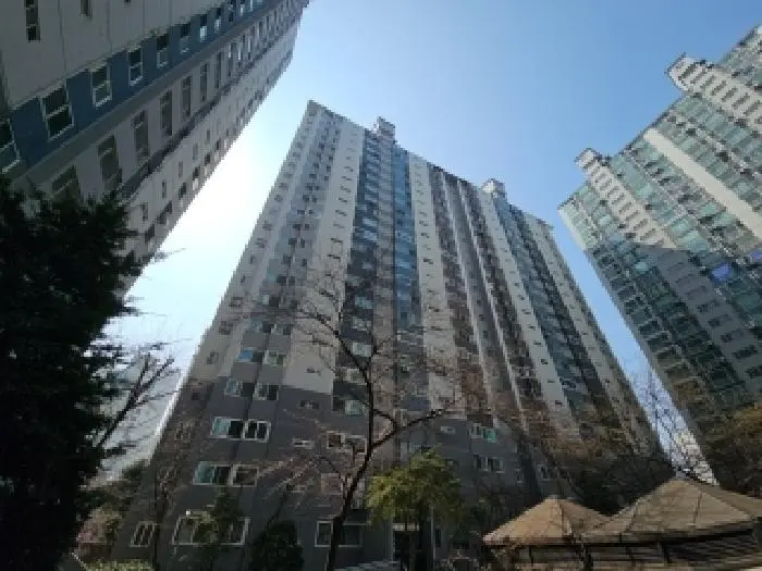 물건 사진 1