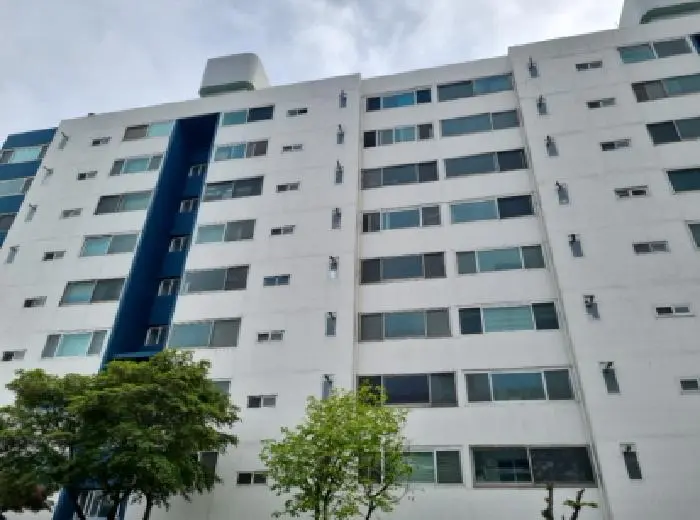 물건 사진 1