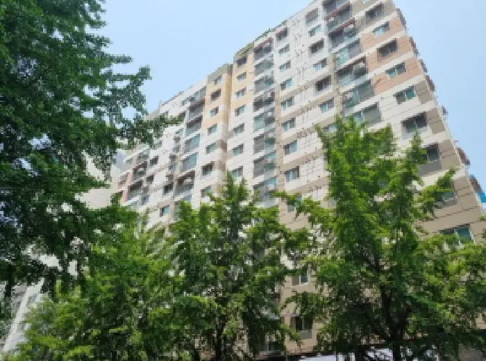 물건 사진 1