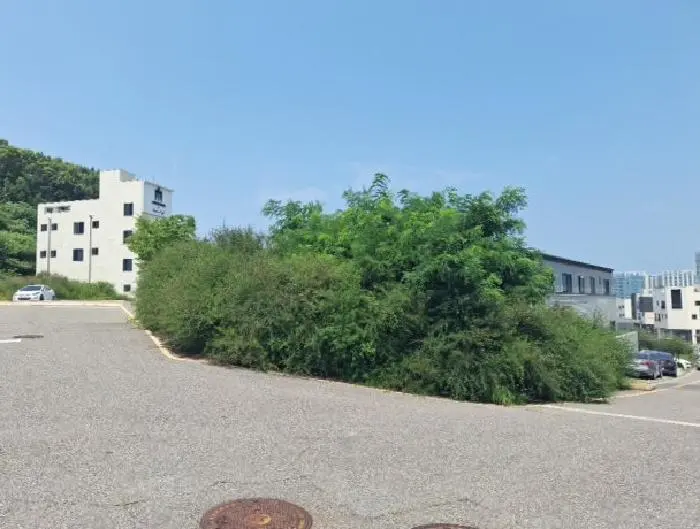 물건 사진 1