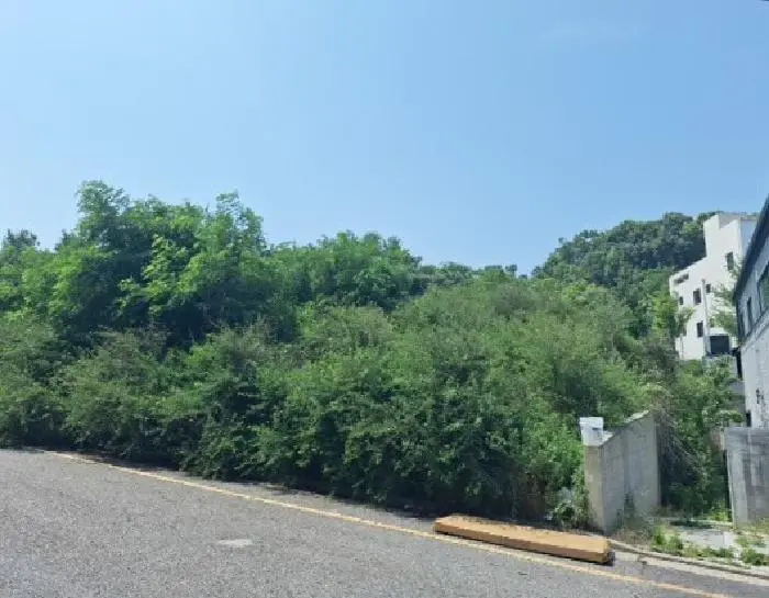 물건 사진 2