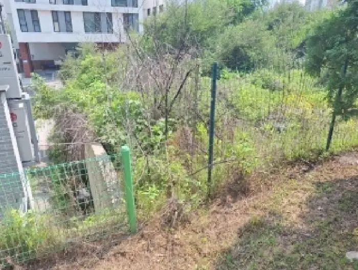 물건 사진 4