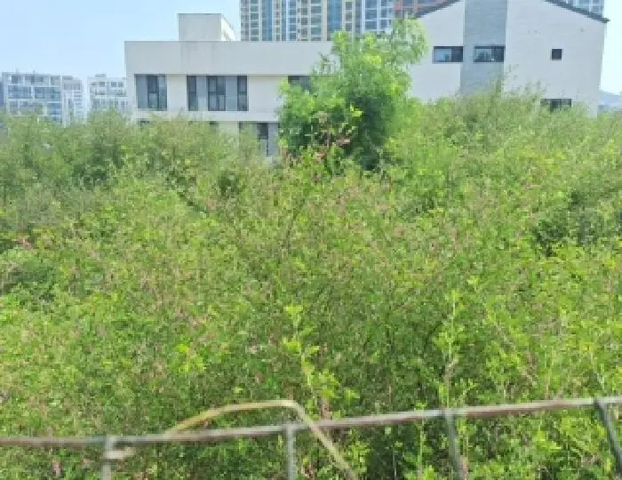 물건 사진 5