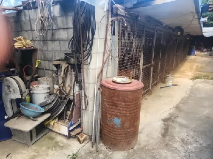 물건 사진 1