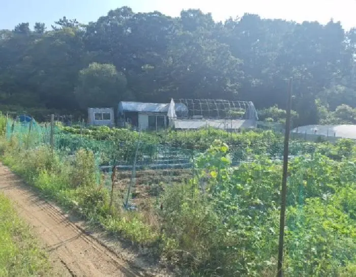 물건 사진 1