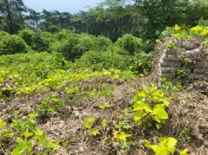 물건 사진 2