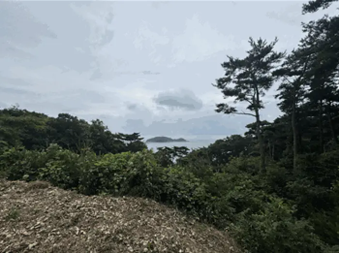 물건 사진 12