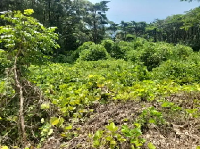 물건 사진 3