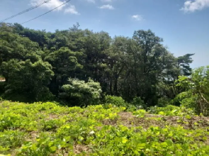 물건 사진 6