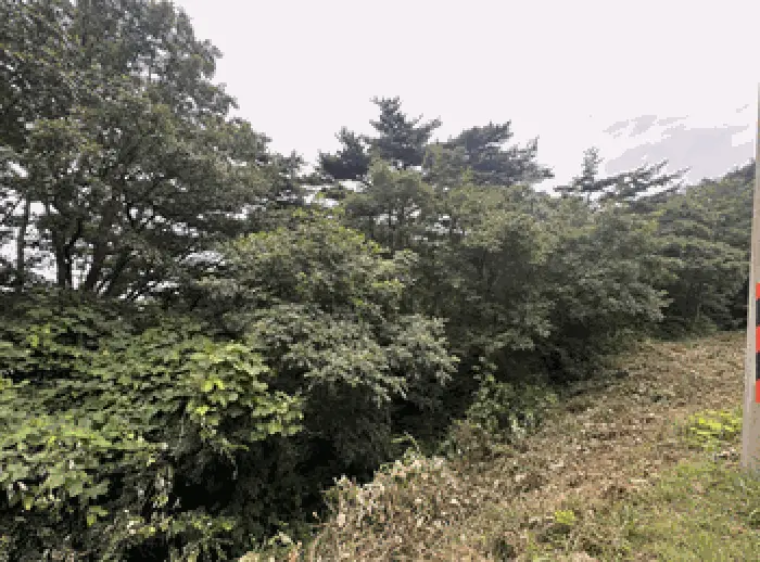 물건 사진 10