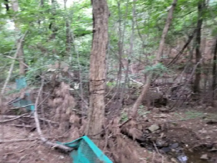 물건 사진 13