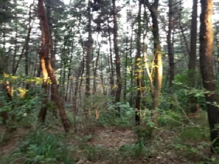 물건 사진 20