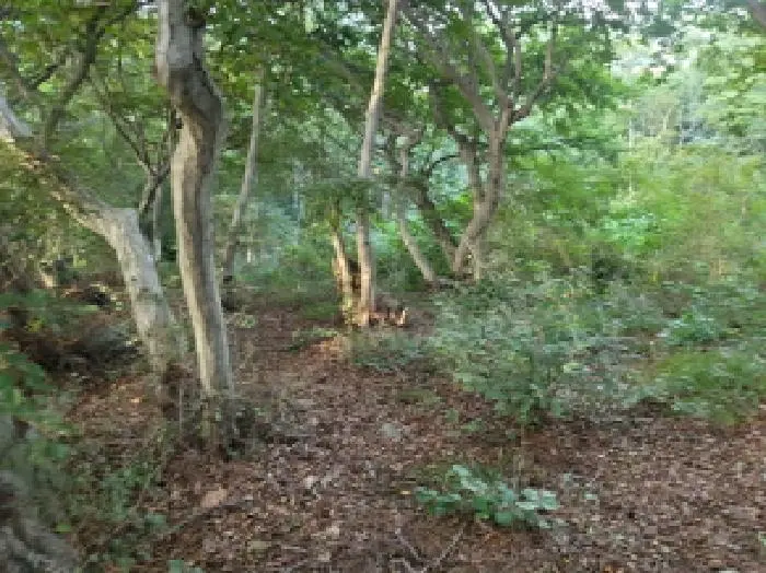 물건 사진 3