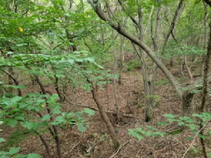 물건 사진 10