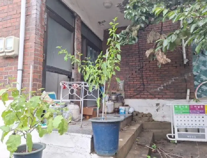 물건 사진 5