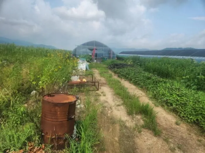 물건 사진 1