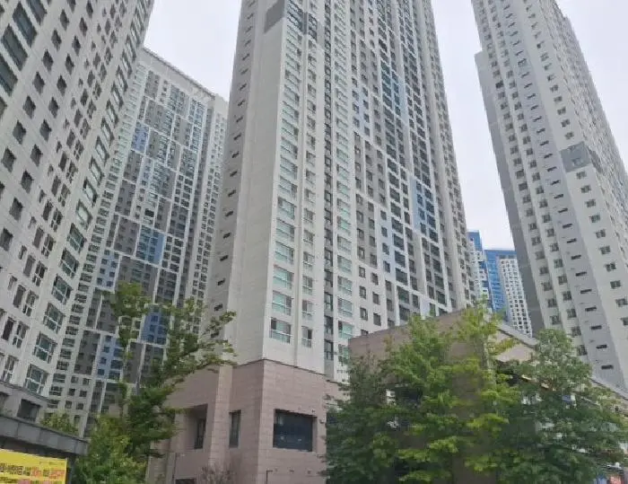 물건 사진 1