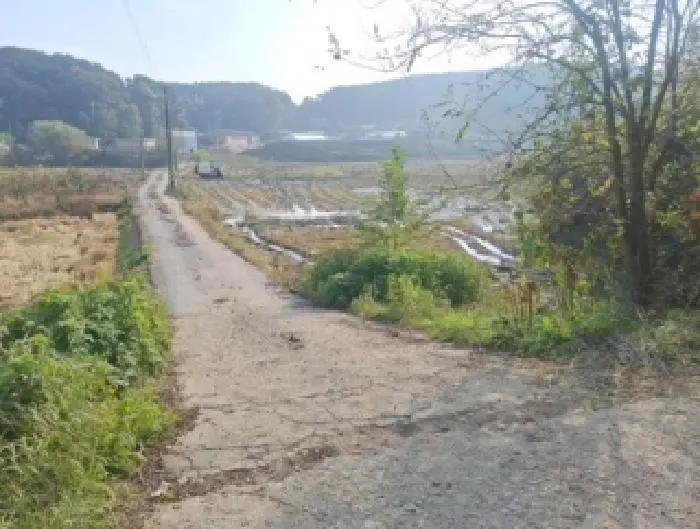 물건 사진 1
