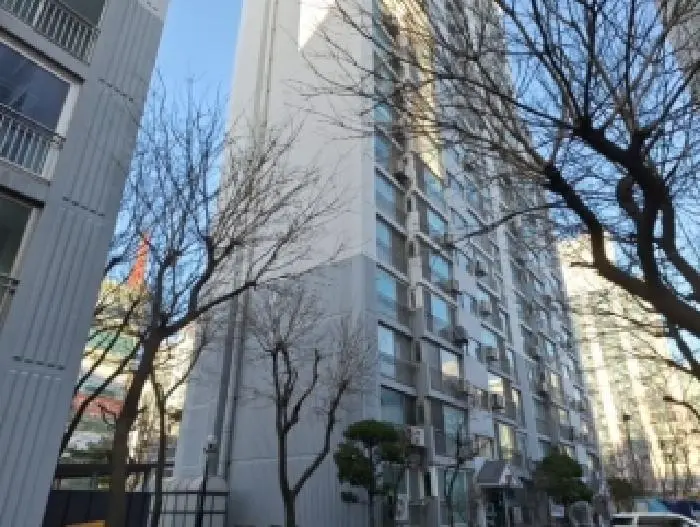 물건 사진 1