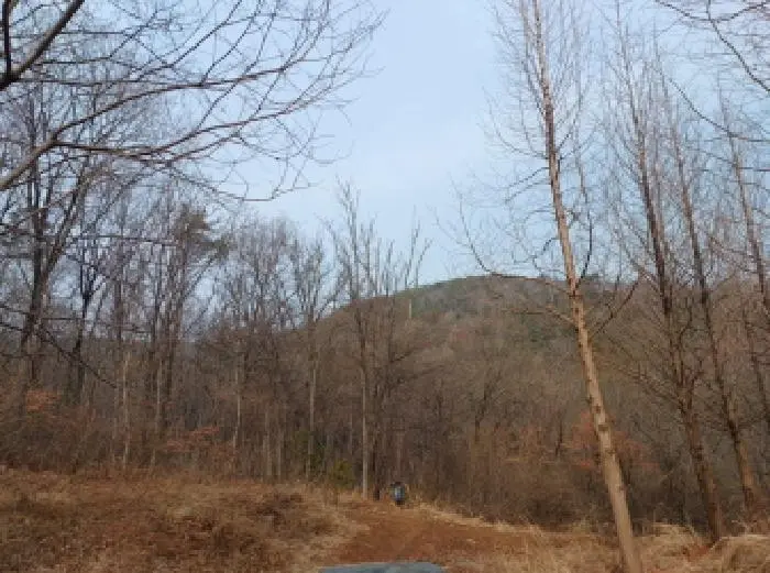 물건 사진 2