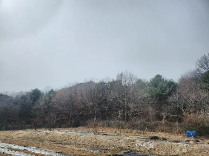 물건 사진 1