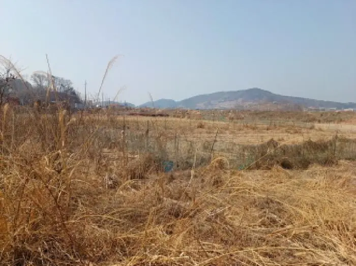 물건 사진 1