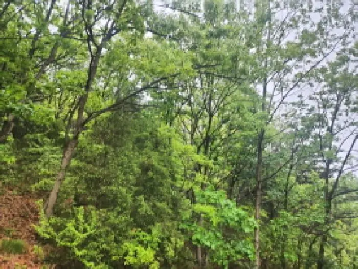 물건 사진 18