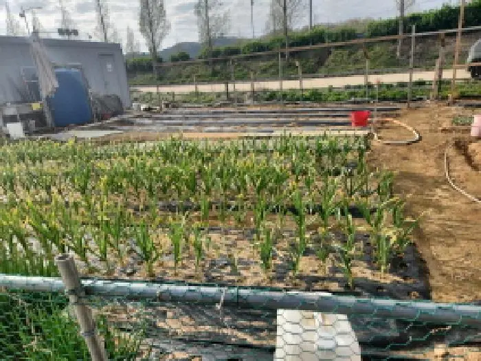 인천광역시 강화군 길상면