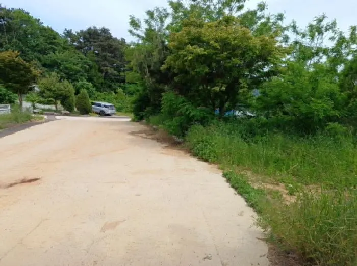 물건 사진 3