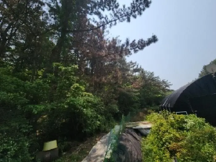 물건 사진 2